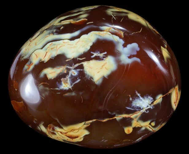 Colorful, Polished Carnelian Agate #70820